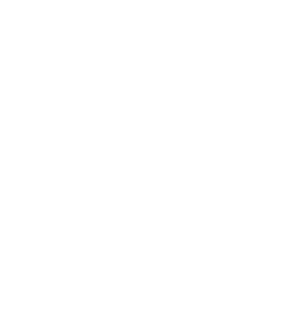Main Logo